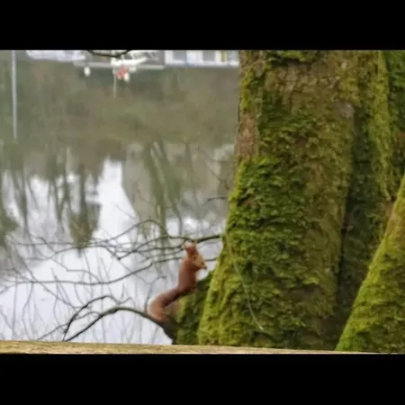 Daire Kate's Place Bedroom Ensuite Close To