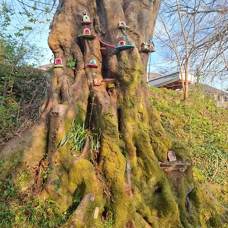 Daire Kate's Place Bedroom Ensuite Close To