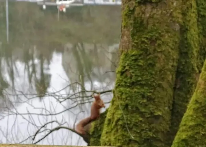 Apartmán Kate's Place Bedroom Ensuite Close To