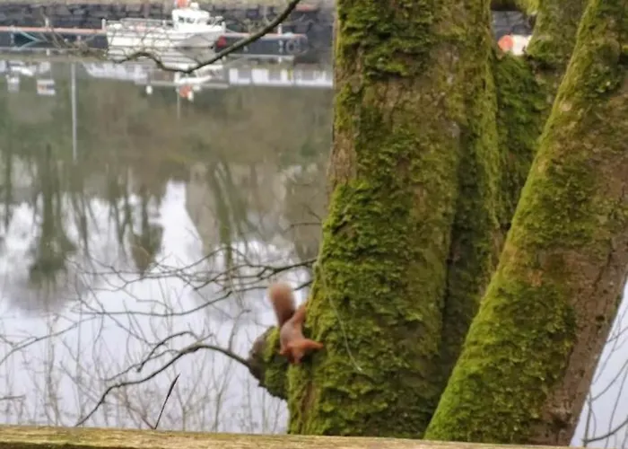 Kate's Place Bedroom Ensuite Close To Donegal Town