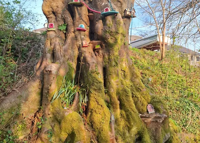 Apartmán Kate's Place Bedroom Ensuite Close To